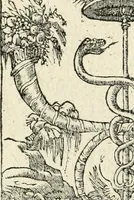 Picture 241 of 412 from Diverse imprese accommodate a diuerse moralità : con versi che i loro significati dichiarano insieme con molte altre nella lingua italiana non piu tradotte (1551), leaf 121