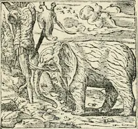 Picture 250 of 412 from Diverse imprese accommodate a diuerse moralità : con versi che i loro significati dichiarano insieme con molte altre nella lingua italiana non piu tradotte (1551), leaf 126