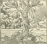 Picture 253 of 412 from Diverse imprese accommodate a diuerse moralità : con versi che i loro significati dichiarano insieme con molte altre nella lingua italiana non piu tradotte (1551), leaf 127