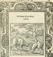 Picture 255 of 412 from Diverse imprese accommodate a diuerse moralità : con versi che i loro significati dichiarano insieme con molte altre nella lingua italiana non piu tradotte (1551), leaf 128