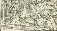 Picture 259 of 412 from Diverse imprese accommodate a diuerse moralità : con versi che i loro significati dichiarano insieme con molte altre nella lingua italiana non piu tradotte (1551), leaf 129