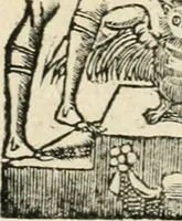An illustration from Diverse imprese accommodate a diuerse moralità : con versi che i loro significati dichiarano insieme con molte altre nella lingua italiana non piu tradotte (1551)