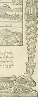 Picture 286 of 412 from Diverse imprese accommodate a diuerse moralità : con versi che i loro significati dichiarano insieme con molte altre nella lingua italiana non piu tradotte (1551), leaf 141