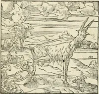 Picture 288 of 412 from Diverse imprese accommodate a diuerse moralità : con versi che i loro significati dichiarano insieme con molte altre nella lingua italiana non piu tradotte (1551), leaf 142