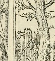 Picture 290 of 412 from Diverse imprese accommodate a diuerse moralità : con versi che i loro significati dichiarano insieme con molte altre nella lingua italiana non piu tradotte (1551), leaf 143
