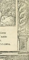 Picture 291 of 412 from Diverse imprese accommodate a diuerse moralità : con versi che i loro significati dichiarano insieme con molte altre nella lingua italiana non piu tradotte (1551), leaf 143