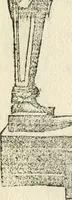 An illustration from Diverse imprese accommodate a diuerse moralità : con versi che i loro significati dichiarano insieme con molte altre nella lingua italiana non piu tradotte (1551)