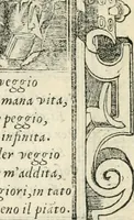 Picture 310 of 412 from Diverse imprese accommodate a diuerse moralità : con versi che i loro significati dichiarano insieme con molte altre nella lingua italiana non piu tradotte (1551), leaf 150