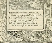 Picture 314 of 412 from Diverse imprese accommodate a diuerse moralità : con versi che i loro significati dichiarano insieme con molte altre nella lingua italiana non piu tradotte (1551), leaf 151