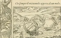 Picture 332 of 412 from Diverse imprese accommodate a diuerse moralità : con versi che i loro significati dichiarano insieme con molte altre nella lingua italiana non piu tradotte (1551), leaf 160