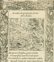 Picture 334 of 412 from Diverse imprese accommodate a diuerse moralità : con versi che i loro significati dichiarano insieme con molte altre nella lingua italiana non piu tradotte (1551), leaf 161