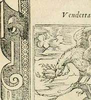 Picture 339 of 412 from Diverse imprese accommodate a diuerse moralità : con versi che i loro significati dichiarano insieme con molte altre nella lingua italiana non piu tradotte (1551), leaf 165