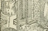 Picture 344 of 412 from Diverse imprese accommodate a diuerse moralità : con versi che i loro significati dichiarano insieme con molte altre nella lingua italiana non piu tradotte (1551), leaf 166