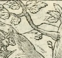 Picture 366 of 412 from Diverse imprese accommodate a diuerse moralità : con versi che i loro significati dichiarano insieme con molte altre nella lingua italiana non piu tradotte (1551), leaf 176