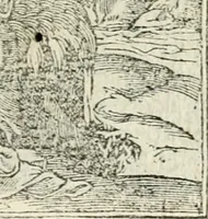 An illustration from Diverse imprese accommodate a diuerse moralità : con versi che i loro significati dichiarano insieme con molte altre nella lingua italiana non piu tradotte (1551)