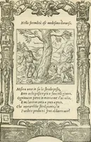Picture 385 of 412 from Diverse imprese accommodate a diuerse moralità : con versi che i loro significati dichiarano insieme con molte altre nella lingua italiana non piu tradotte (1551), leaf 182