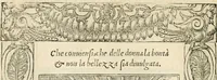 An illustration from Diverse imprese accommodate a diuerse moralità : con versi che i loro significati dichiarano insieme con molte altre nella lingua italiana non piu tradotte (1551)