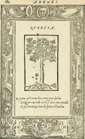 Picture 395 of 412 from Diverse imprese accommodate a diuerse moralità : con versi che i loro significati dichiarano insieme con molte altre nella lingua italiana non piu tradotte (1551), leaf 187