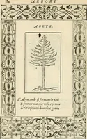 Picture 399 of 412 from Diverse imprese accommodate a diuerse moralità : con versi che i loro significati dichiarano insieme con molte altre nella lingua italiana non piu tradotte (1551), leaf 189