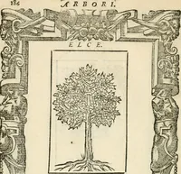 Picture 403 of 412 from Diverse imprese accommodate a diuerse moralità : con versi che i loro significati dichiarano insieme con molte altre nella lingua italiana non piu tradotte (1551), leaf 191