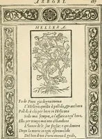 Picture 405 of 412 from Diverse imprese accommodate a diuerse moralità : con versi che i loro significati dichiarano insieme con molte altre nella lingua italiana non piu tradotte (1551), leaf 192