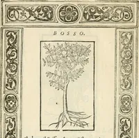 Picture 407 of 412 from Diverse imprese accommodate a diuerse moralità : con versi che i loro significati dichiarano insieme con molte altre nella lingua italiana non piu tradotte (1551), leaf 193