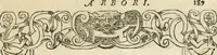 Picture 408 of 412 from Diverse imprese accommodate a diuerse moralità : con versi che i loro significati dichiarano insieme con molte altre nella lingua italiana non piu tradotte (1551), leaf 194
