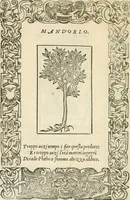 Picture 411 of 412 from Diverse imprese accommodate a diuerse moralità : con versi che i loro significati dichiarano insieme con molte altre nella lingua italiana non piu tradotte (1551), leaf 195