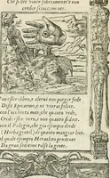 Picture 34 of 412 from Diverse imprese accommodate a diuerse moralità : con versi che i loro significati dichiarano insieme con molte altre nella lingua italiana non piu tradotte (1551), leaf 23