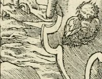 Picture 39 of 412 from Diverse imprese accommodate a diuerse moralità : con versi che i loro significati dichiarano insieme con molte altre nella lingua italiana non piu tradotte (1551), leaf 26
