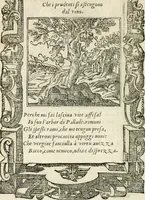 Picture 51 of 412 from Diverse imprese accommodate a diuerse moralità : con versi che i loro significati dichiarano insieme con molte altre nella lingua italiana non piu tradotte (1551), leaf 31