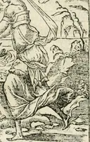 An illustration from Diverse imprese accommodate a diuerse moralità : con versi che i loro significati dichiarano insieme con molte altre nella lingua italiana non piu tradotte (1551)