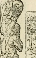 Picture 74 of 412 from Diverse imprese accommodate a diuerse moralità : con versi che i loro significati dichiarano insieme con molte altre nella lingua italiana non piu tradotte (1551), leaf 42