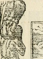 An illustration from Diverse imprese accommodate a diuerse moralità : con versi che i loro significati dichiarano insieme con molte altre nella lingua italiana non piu tradotte (1551)