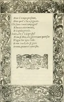 An illustration from Diverse imprese accommodate a diuerse moralità : con versi che i loro significati dichiarano insieme con molte altre nella lingua italiana non piu tradotte (1551)