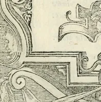Picture 98 of 412 from Diverse imprese accommodate a diuerse moralità : con versi che i loro significati dichiarano insieme con molte altre nella lingua italiana non piu tradotte (1551), leaf 54