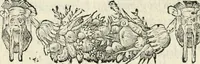 Picture 104 of 412 from Diverse imprese accommodate a diuerse moralità : con versi che i loro significati dichiarano insieme con molte altre nella lingua italiana non piu tradotte (1551), leaf 57