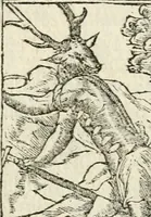 Picture 108 of 412 from Diverse imprese accommodate a diuerse moralità : con versi che i loro significati dichiarano insieme con molte altre nella lingua italiana non piu tradotte (1551), leaf 59