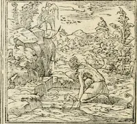 An illustration from Diverse imprese accommodate a diuerse moralità : con versi che i loro significati dichiarano insieme con molte altre nella lingua italiana non piu tradotte (1551)