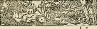 Picture 148 of 412 from Diverse imprese accommodate a diuerse moralità : con versi che i loro significati dichiarano insieme con molte altre nella lingua italiana non piu tradotte (1551), leaf 78