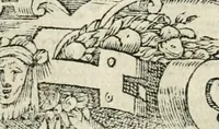 Picture 186 of 412 from Diverse imprese accommodate a diuerse moralità : con versi che i loro significati dichiarano insieme con molte altre nella lingua italiana non piu tradotte (1551), leaf 95