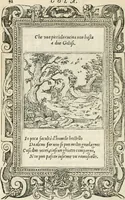 Picture 189 of 412 from Diverse imprese accommodate a diuerse moralità : con versi che i loro significati dichiarano insieme con molte altre nella lingua italiana non piu tradotte (1551), leaf 97