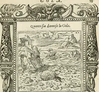 Picture 190 of 412 from Diverse imprese accommodate a diuerse moralità : con versi che i loro significati dichiarano insieme con molte altre nella lingua italiana non piu tradotte (1551), leaf 98