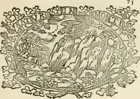 Picture 54 of 428 from Imprese dell' Offitioso, accademico intronato (1628), leaf 126
