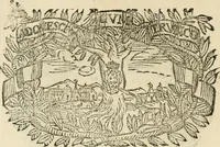 Picture 61 of 428 from Imprese dell' Offitioso, accademico intronato (1628), leaf 133