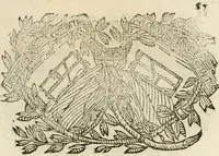 Picture 66 of 428 from Imprese dell' Offitioso, accademico intronato (1628), leaf 138