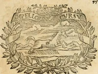 Picture 76 of 428 from Imprese dell' Offitioso, accademico intronato (1628), leaf 148