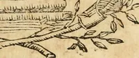 Picture 81 of 428 from Imprese dell' Offitioso, accademico intronato (1628), leaf 152