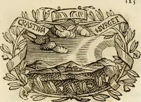 Picture 105 of 428 from Imprese dell' Offitioso, accademico intronato (1628), leaf 176
