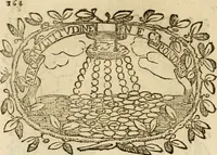 Picture 145 of 428 from Imprese dell' Offitioso, accademico intronato (1628), leaf 215
